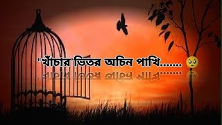 'খাঁচার ভিতর অচিন পাখি //khachar bhitor ochin pakhi  _   'pain is back