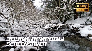 Живая природа - Зимняя река | Звуки природы | Звуки реки | Шум воды | Релакс | Антистресс | Заставка