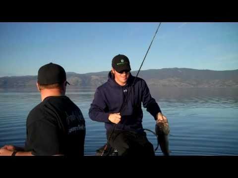 Clearlake Swimbait Fishing