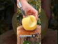 🍏 #apple#fruitcutting #sobeautiful #naturally #apple #fruit #sweet good fruit