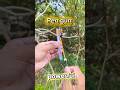 😱Mind-Blowing Pen Trick You Must Try! 🤯 #Shorts #minivlog #pengun