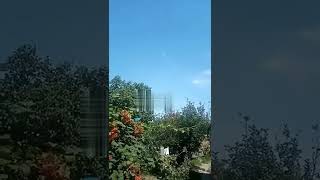 Работает наша артилерия. Недалеко от Херсона. 26.08.2022, 13:00