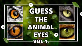 GUESS THE ANIMAL EYES Vol 1 #trivia #quiz