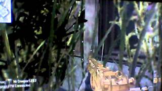 MK14 with modded controller