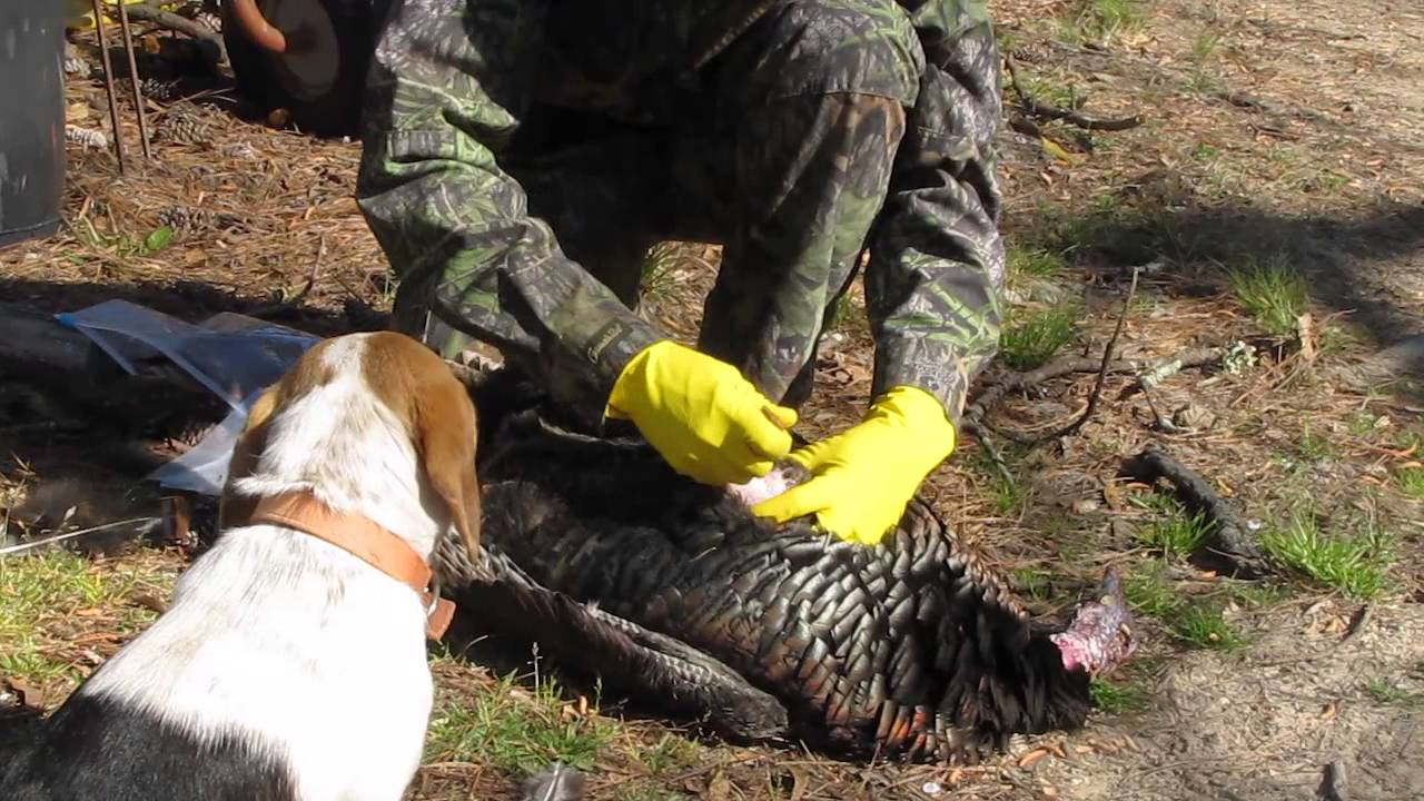 Ron M Cleaning Turkey 3-19-13