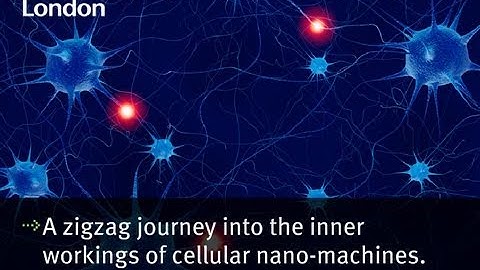 A zigzag journey into the inner workings of cellular nano-machines