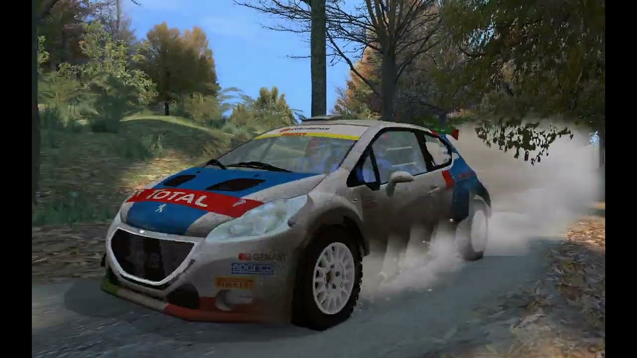 Cierru Los Pinos 2 | Peugeot 208 T16 R5