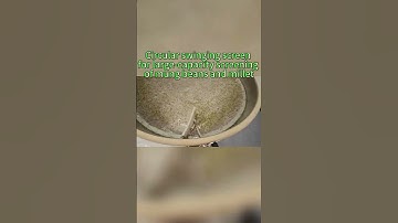 Circular swing screen #chinafactory #vibratingscreen #screening