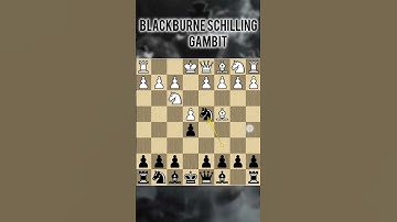 How to play Blackburne Schilling gambit #chess