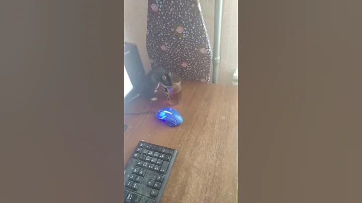 VID 20210618 114804