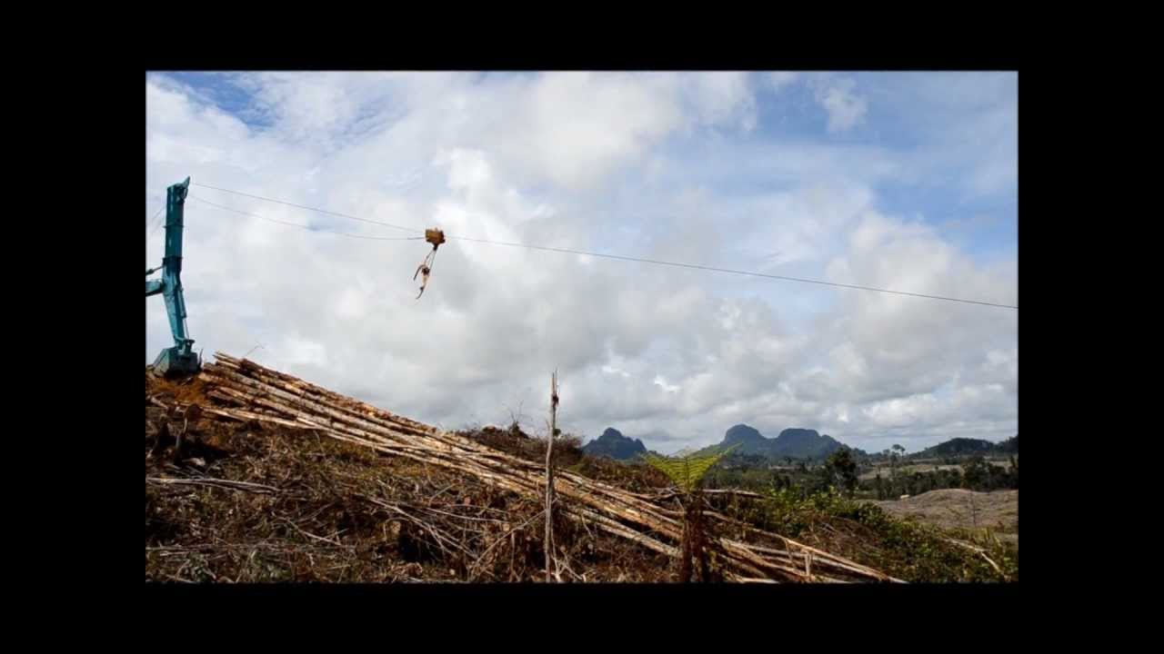 EXCAVATOR WINCH ALPINE SHOVEL YARDER YouTube