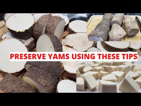 HOW TO PRESERVE YAMS   How to freeze yams properly   Yam storage tips