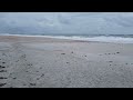 Not All Florida Beaches Are Crowded...