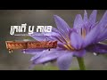 “ក្រពើ ឫ តាខេ” ជាមួយស្នូរទឹកភ្លៀង ស្តាប់កំដរពេលរាត្រីជួយអោយគេងលក់ស្រួល - កំដរ - | Komdor Podcast