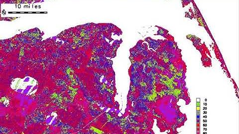 Forest Structure and Bird Nesting Habitat Derived from LiDAR Data
