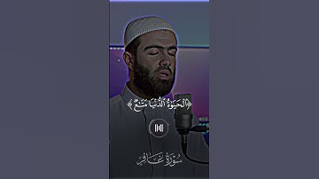 محمد جلال الكردي - سورة غافر