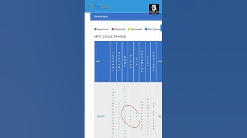 PRODIGISING VIDEO VERIFICATION FOR DSC DIGITAL SIGNATURE #dsc #digitalsignaturecertificate