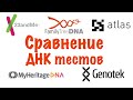 Сравнение ДНК тестов в 23andme, FTDNA, Myheritage, Genotek и Atlas