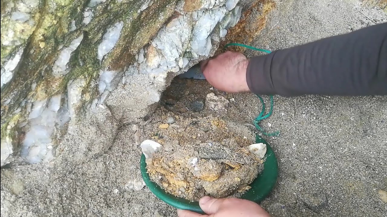 GOLD IN THE SEA SANDS