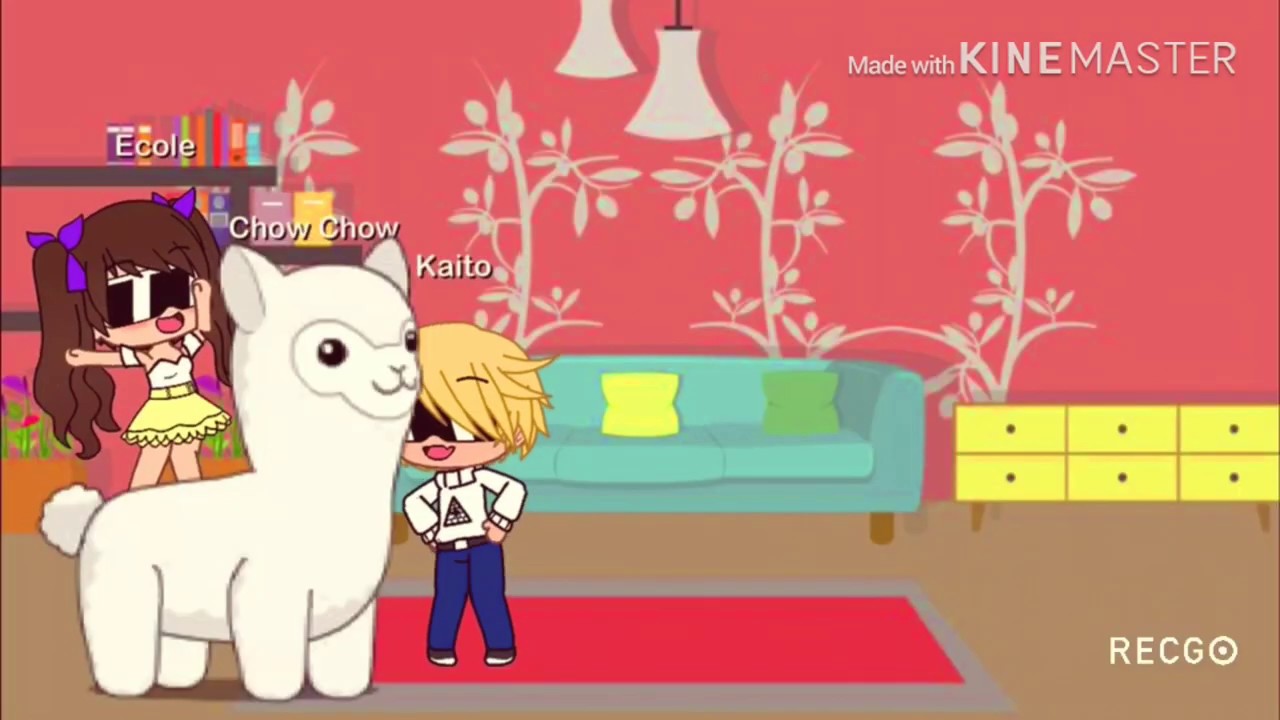 Llama in my Living Room YouTube