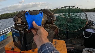 KING TIDES GIANT MUD CRABS with the FAMILY | BARRAMUNDI and MANGROVE JACK on LURES