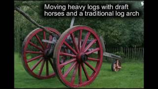 Moving heavy logs with Belgian draft horses and a traditional log arch