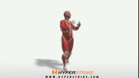 Exercise Videos- Jumping lunge Rotation - ipsilateral