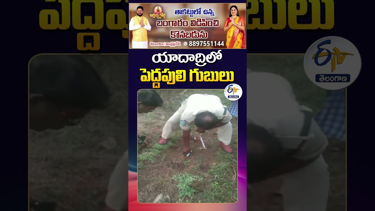 Tiger Footprints Found in Velmajala | Panic in Villages | Yadadri Bhuvanagiri District