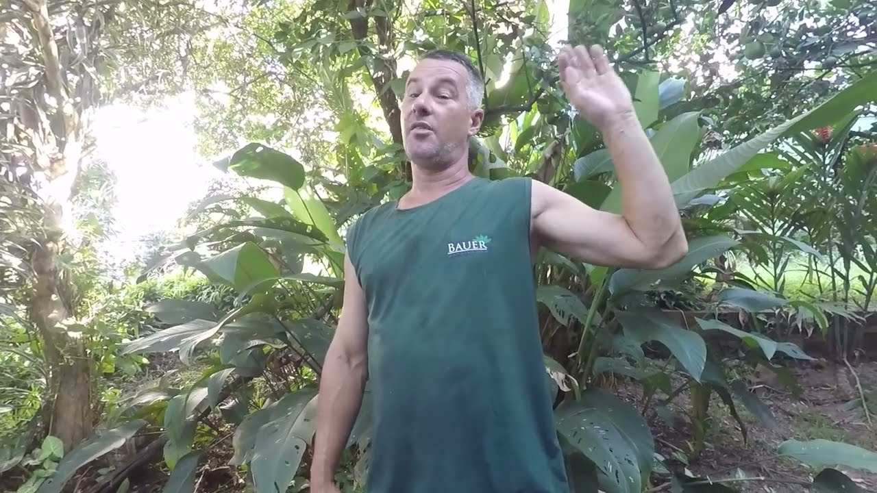 O RESPEITO DA BAUER JARDINAGEM POR TODOS OS ANIMAIS