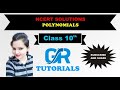 POLYNOMIALS DAY - 2