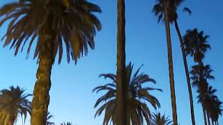 Great Atmosphere In Skikda