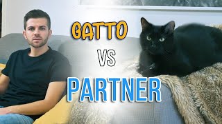 Gatto vs Partner