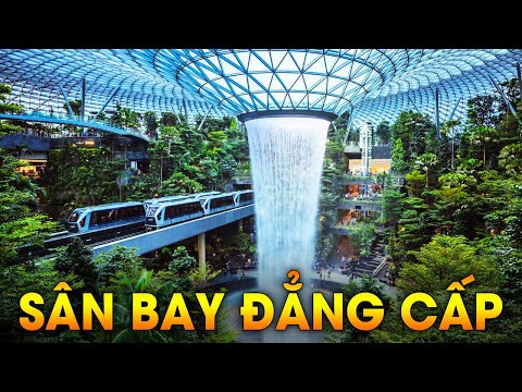 Video: Sân bay đẹp