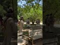 Revolutionary War Tactics.