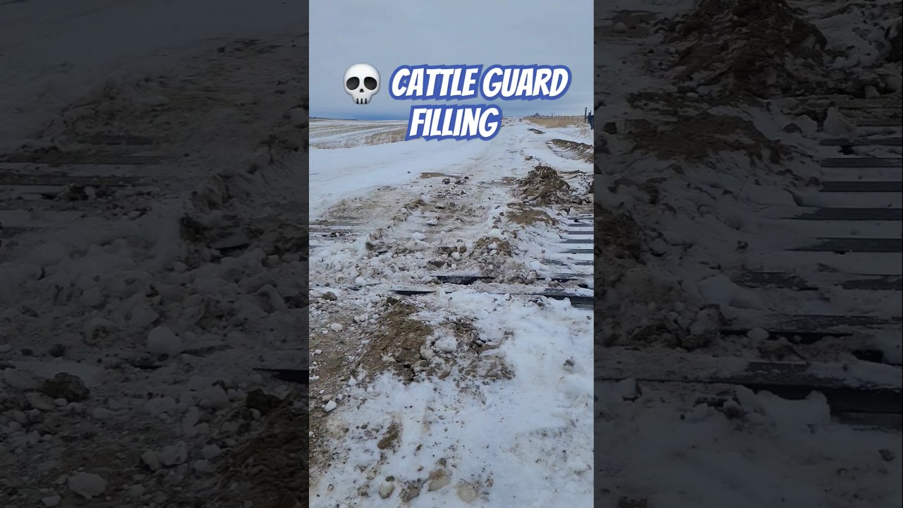 Deadly Cattle Guard Fills 