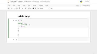 Celebrity The while loop Python programming@35 Wealth