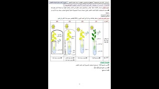 أغذية النبات الأخضر و حل مواضيع مقترحة لإختبار الفصل الأول الأولى متوسط
