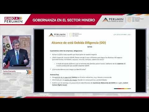 SECTOR MINERO TIENE UNA GESTIÓN DE SEGURIDAD O SAFETY MUY ROBUSTA