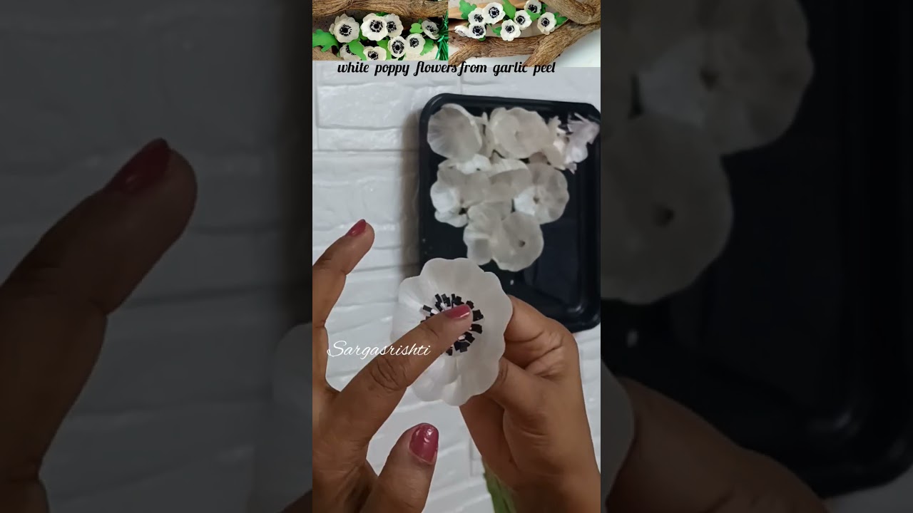 DIY white poppy flowers  