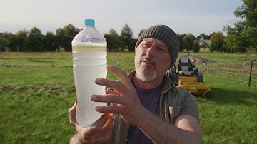 How To Stop Leaf Curl and Aphids