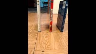 Physics Capstone Project Explanation