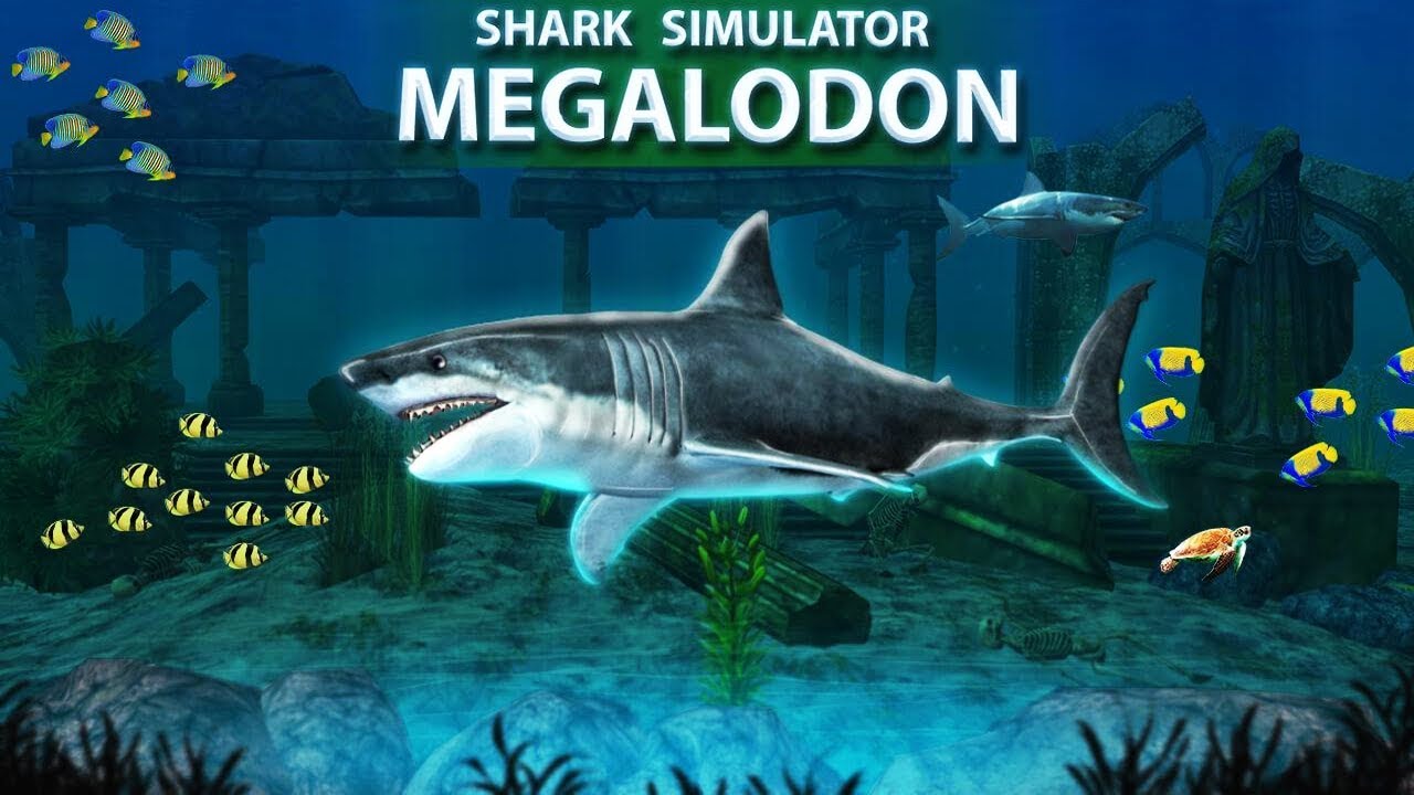 Shark Simulator Megalodon Android Gameplay HD #1 - YouTube