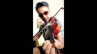 Begonvil (keman)🎻