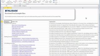 PrecisionTree Quick Start -  More Examples Wealth