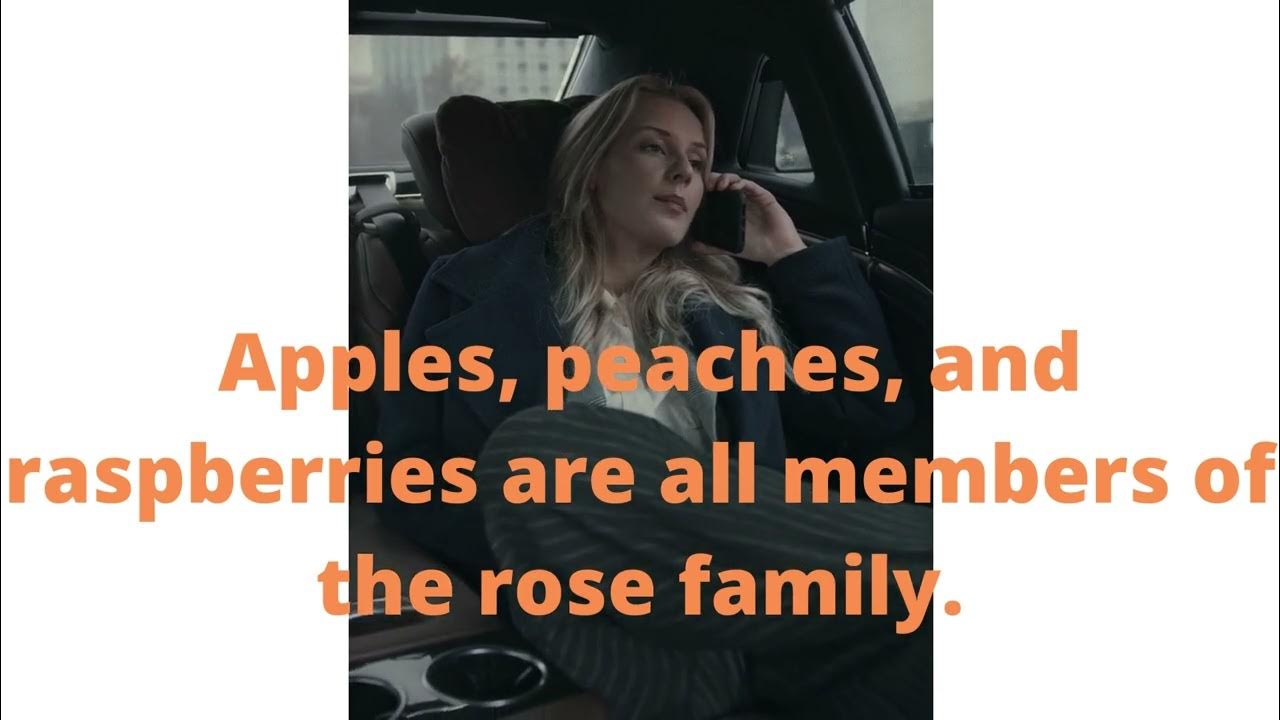 Apples, peaches, and raspberries are all members of the rose family YouTube
