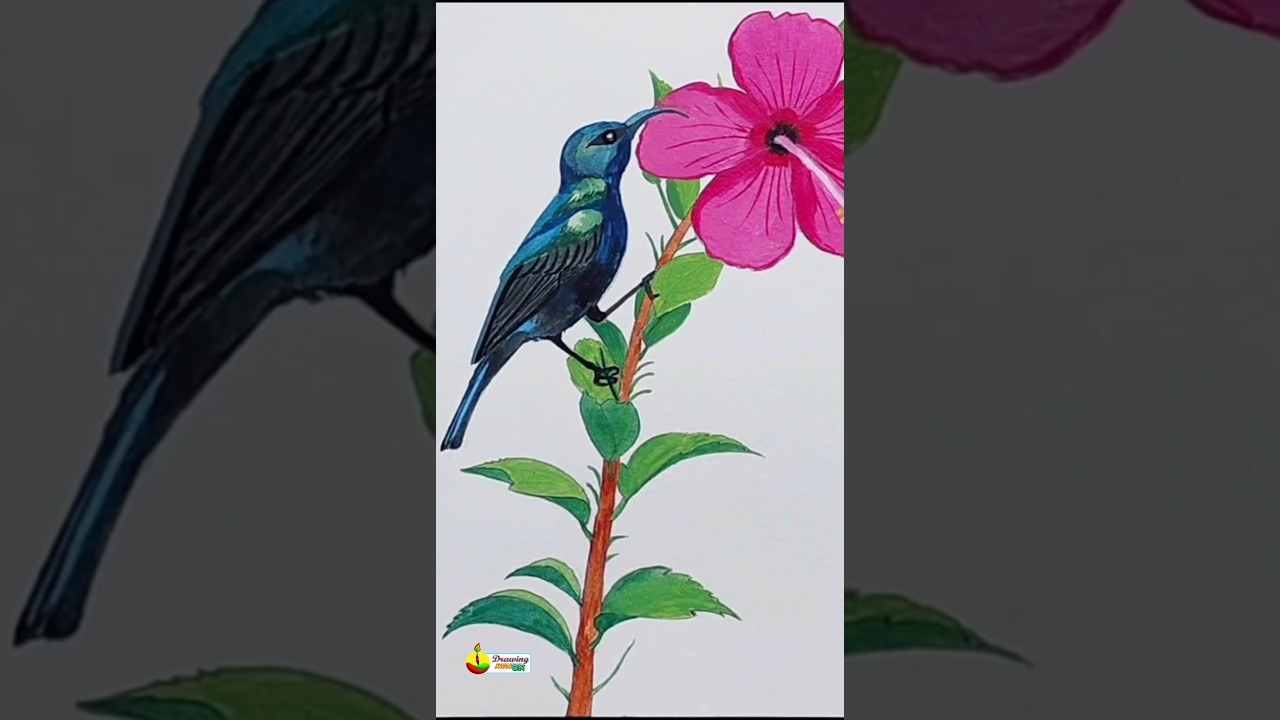 Loten's Sunbird