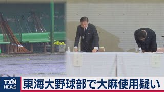 東海大・野球部員が薬物使用で活動停止（2020年10月17日）