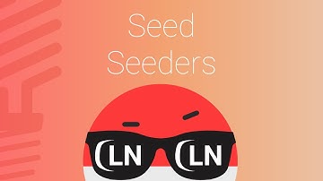 7. Seeder & Seed - Belajar Lumen Indonesia Terbaru 2020
