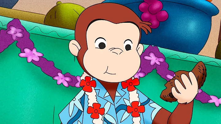 Curious George Monkey Mystery Gift Kids Cartoon  K...