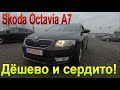 Пригнать Skoda Octavia из Литвы выгодно и доступно!